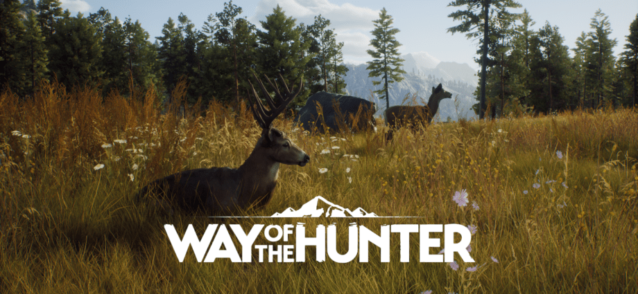 The Way of the Hunter