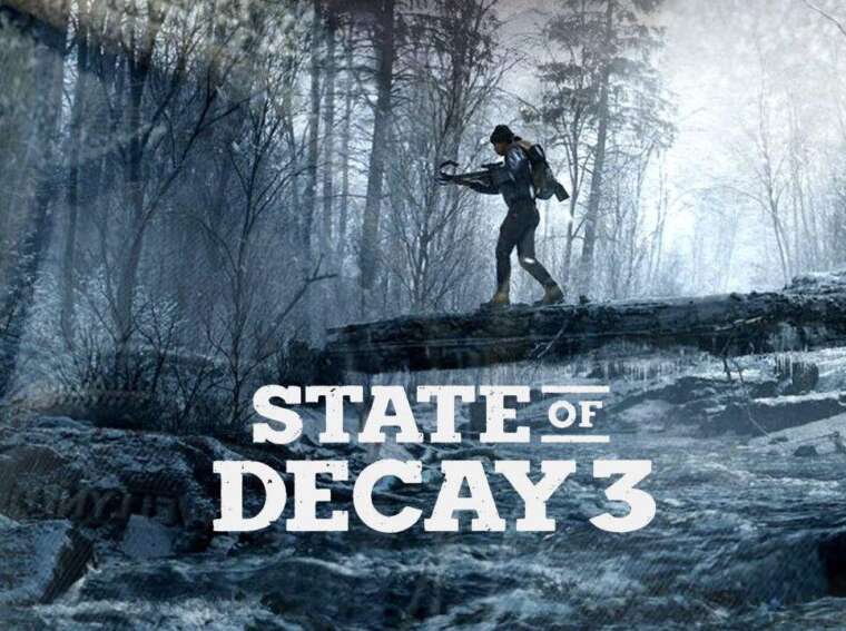 State of decay 3