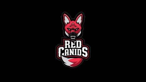 Red Canids
