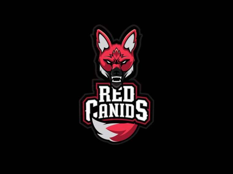 Red Canids