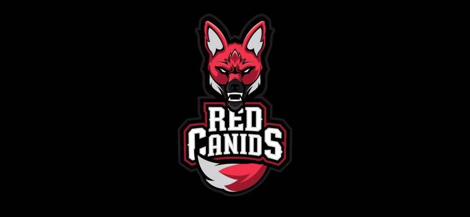 Red Canids