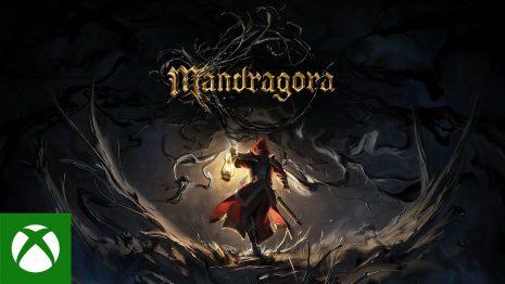 Mandragora