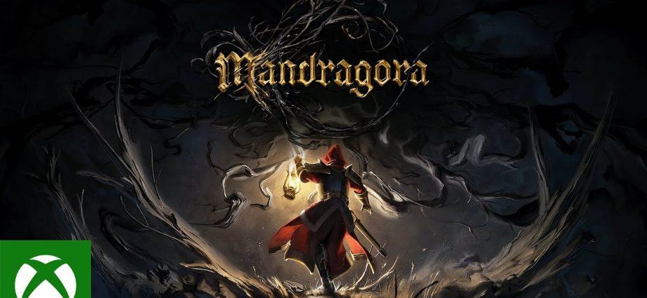 Mandragora