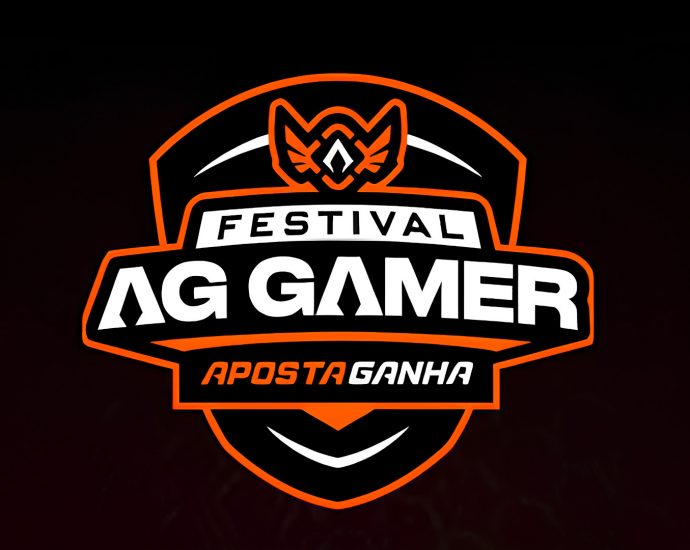 Festival AG Gamer