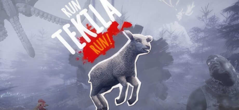 Run Tekila Run!