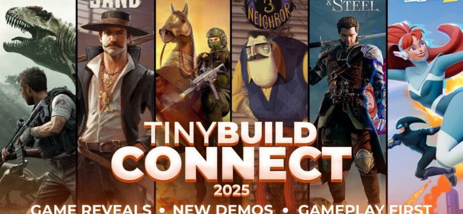 tinyBuild Connect