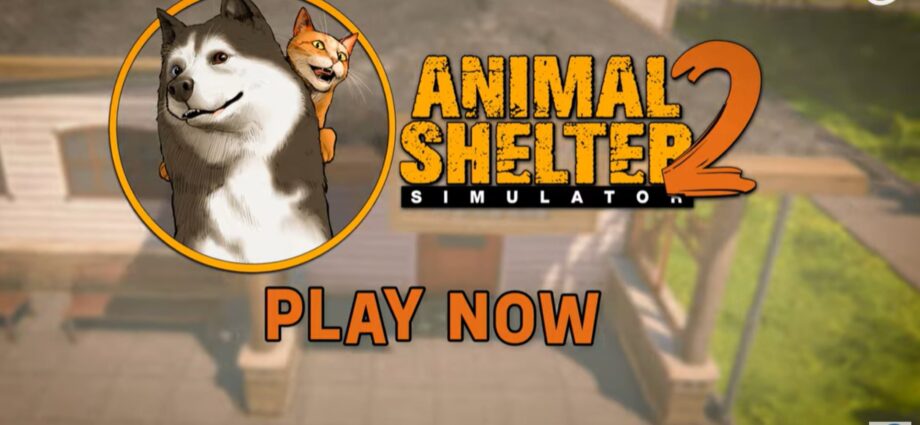 Animal Shelter 2