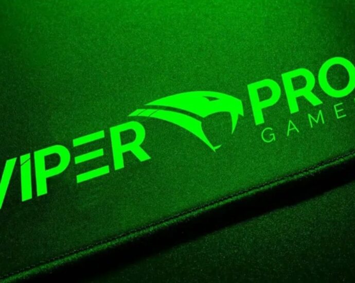 Viper Pro Gamer