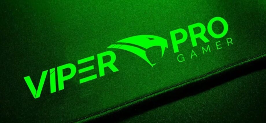 Viper Pro Gamer
