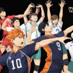 Haikyu!! Fly High