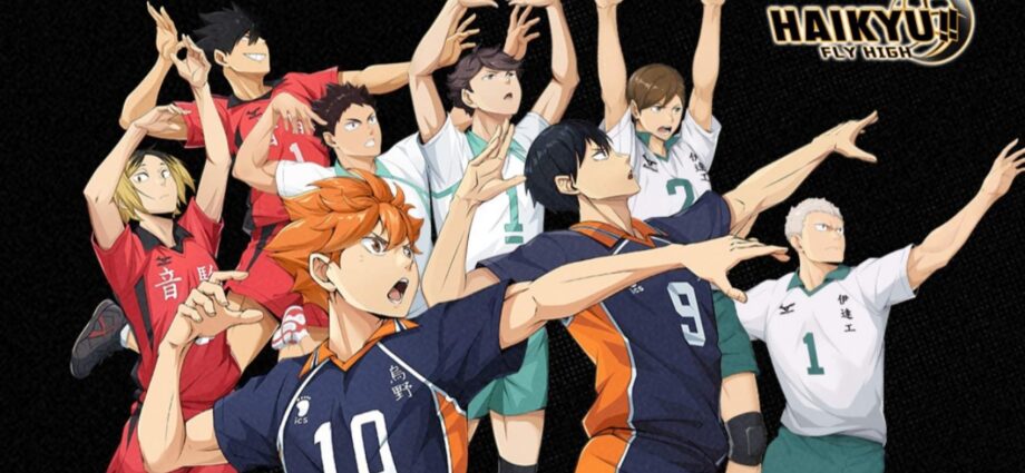 Haikyu!! Fly High