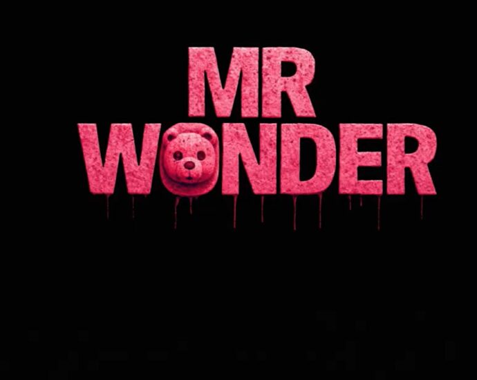 Mr Wonder