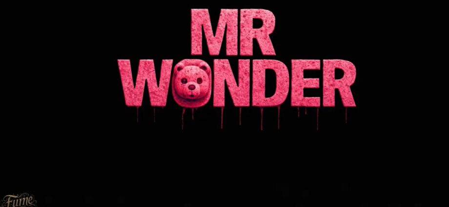 Mr Wonder