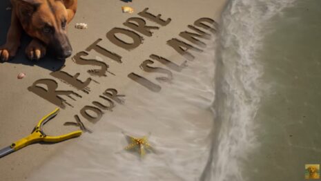 'Restore Your Island': Demo Gratuita no Steam Next Fest te Convida a Relaxar e Reconstruir! Restore Your Island