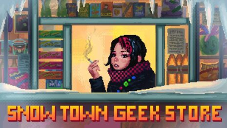 Snow Town Geek Store
