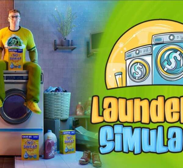 Laundering Simulator