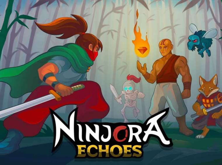 Ninjora Echoes