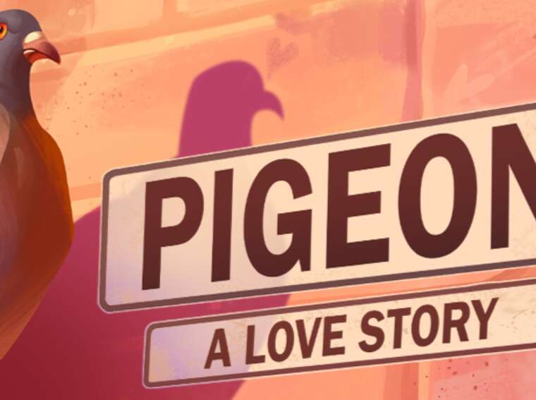Pigeon: A Love Story