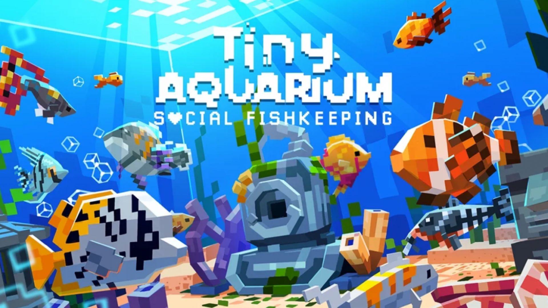 Tiny Aquarium: Social Fishkeeping