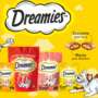 Gatos e Gamers Juntos: @cereaw e @carol Comandam Live Especial Dreamies na Twitch