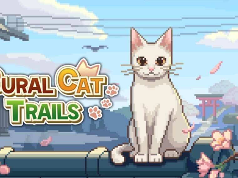 Rural Cat Trails