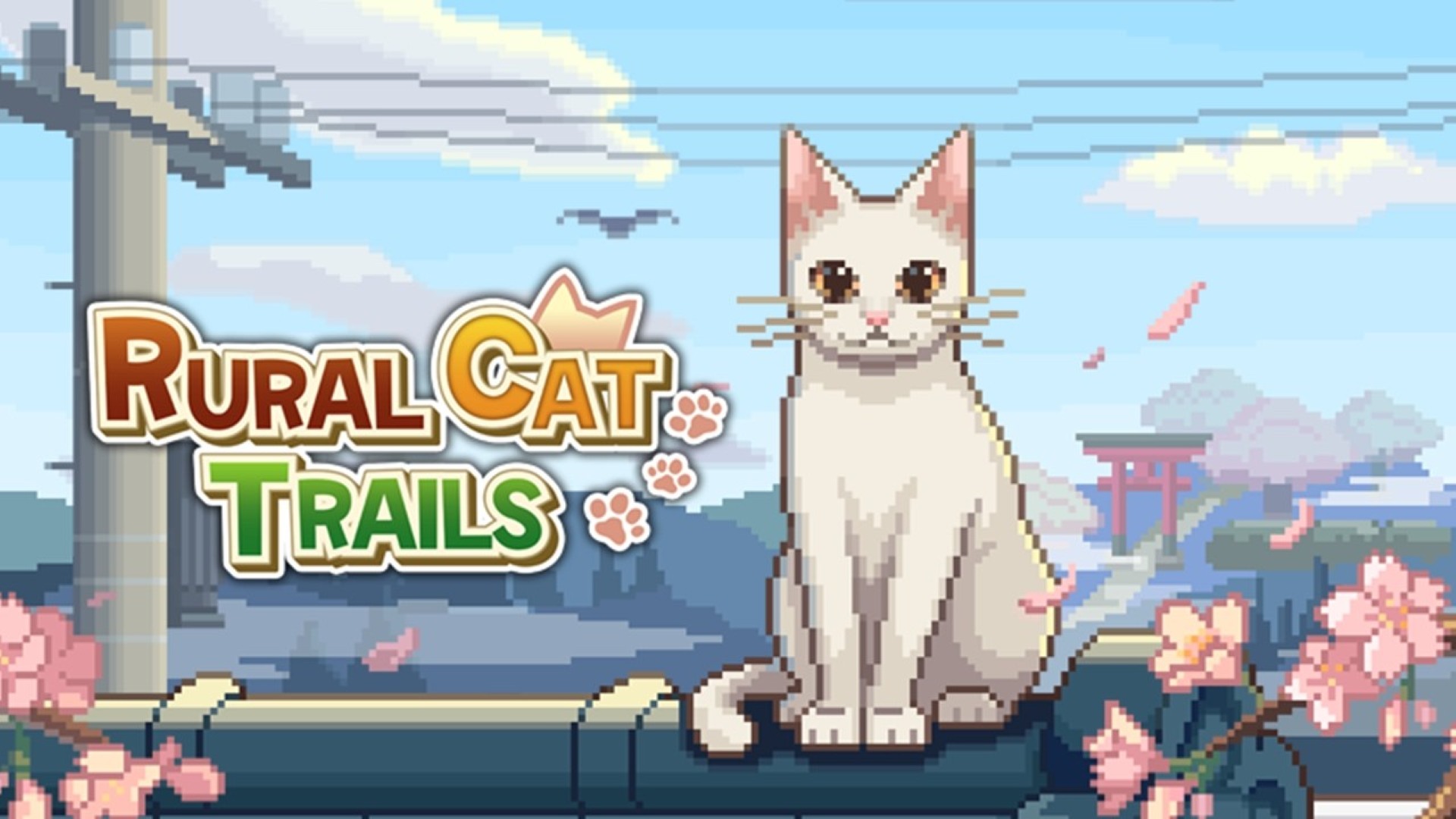Rural Cat Trails