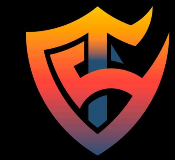 Team Solid logo