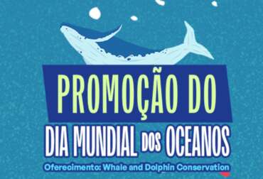 World Ocean Day Festival