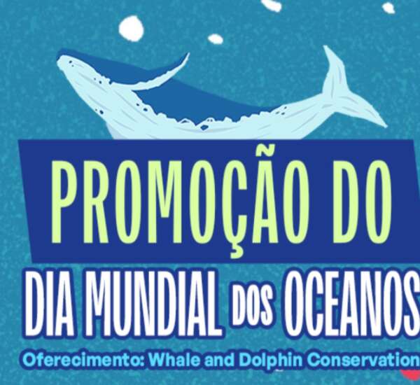 World Ocean Day Festival