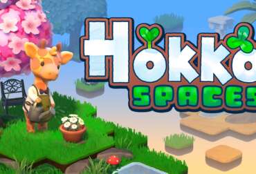 Hokko Spaces