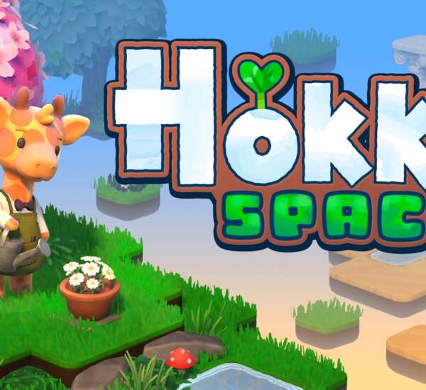 Hokko Spaces