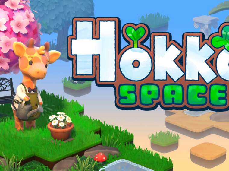 Hokko Spaces