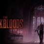 FromSoftware Leva Batalhas Sanguinárias para o Nintendo Switch 2: Teste de Rede de The Duskbloods Aberto em Breve