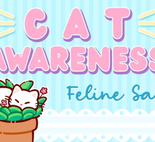 Cat Awareness Feline Sale 2026