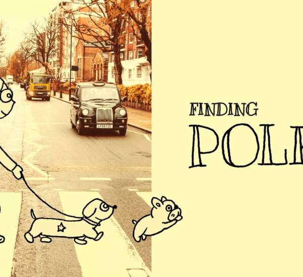 Finding Polka