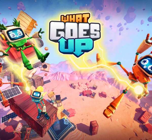 What Goes Up