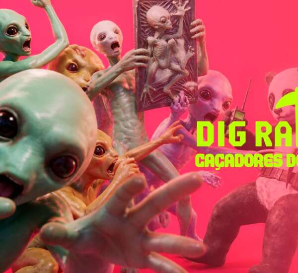 DIG Raiders