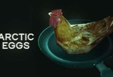Arctic Eggs