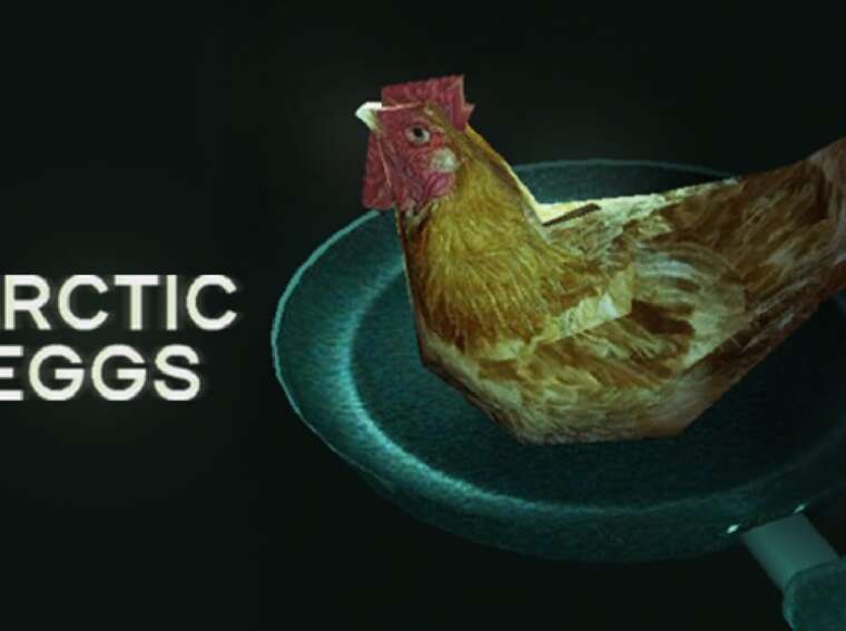 Arctic Eggs